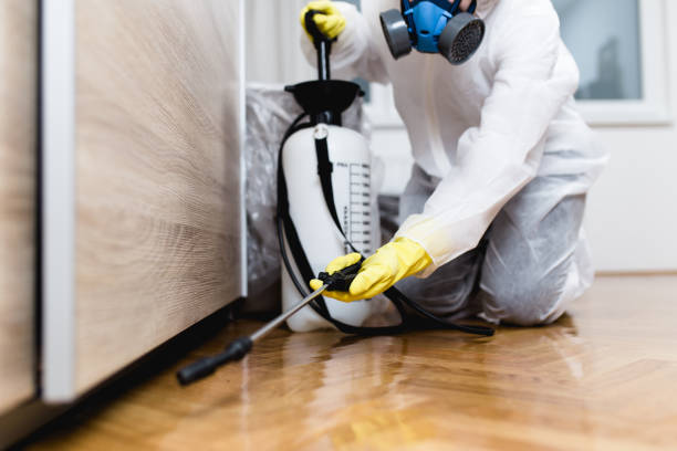 Best Affordable Pest Control Services  in Central City, PA