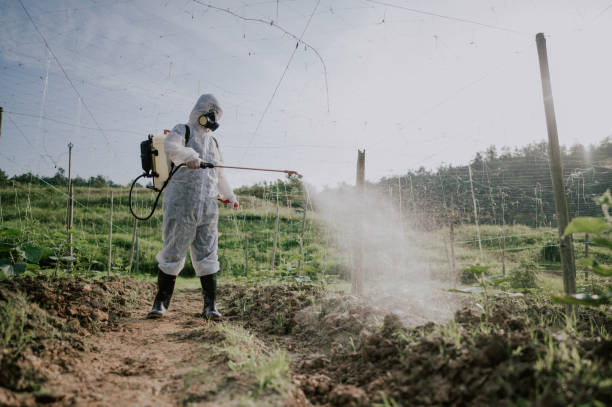 Best Best Pest Control Companies  in Central City, PA
