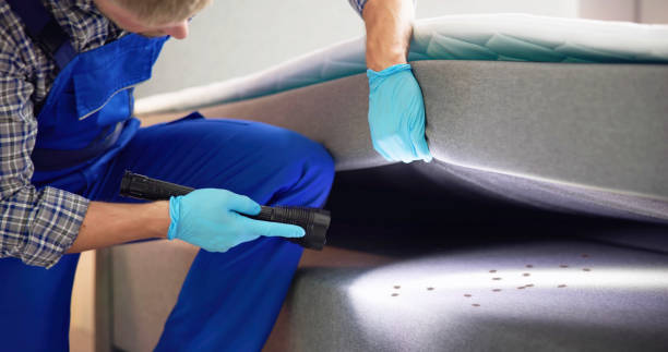 Best Termite Control Services  in Central City, PA