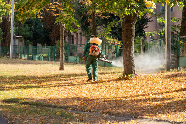 Best Bed Bug Extermination  in Central City, PA