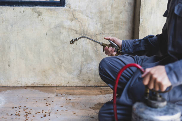 Best Local Pest Control Services  in Central City, PA
